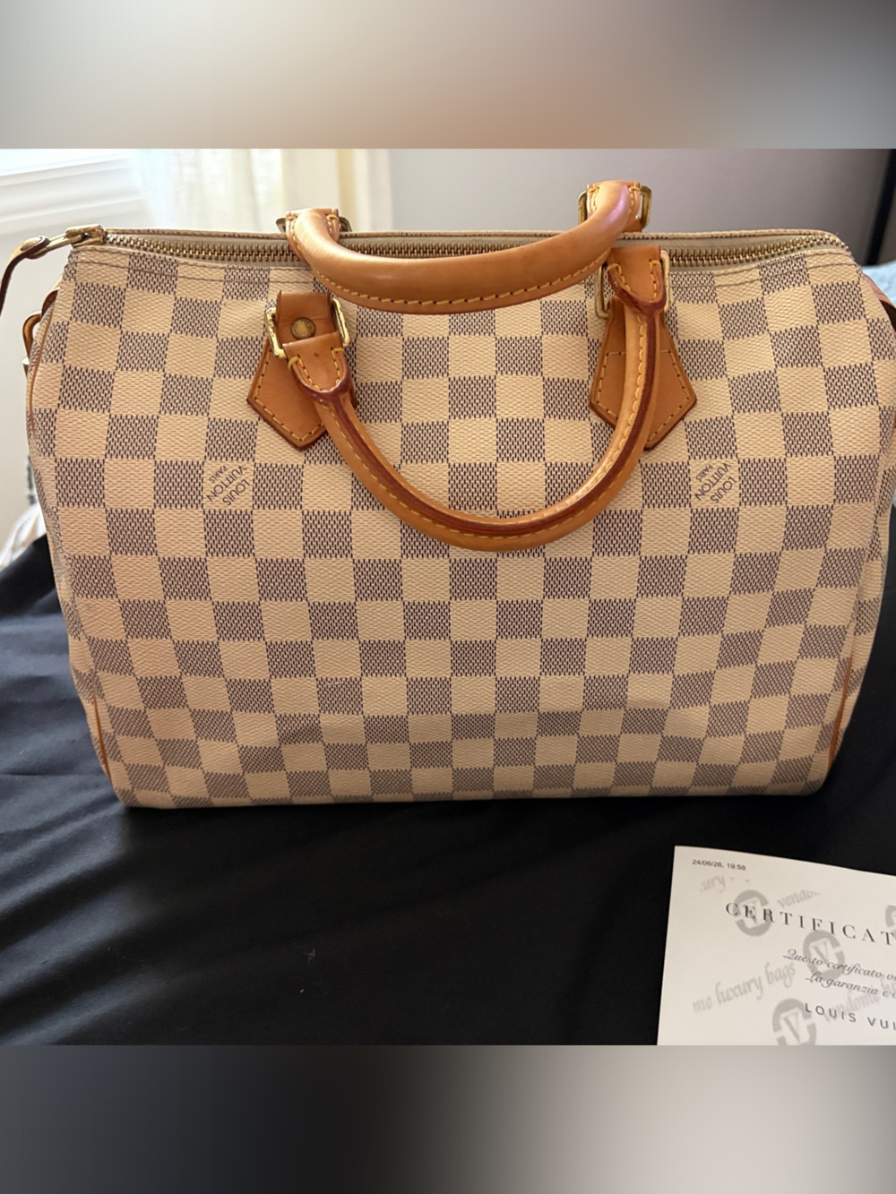Louis Vuitton Damier Azur Speedy 30 Handbag -